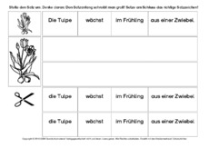Tulpe-Sätze-umstellen-1.pdf